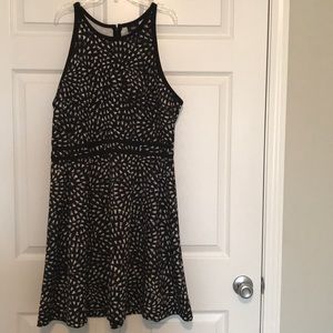 Massimo black and white dress